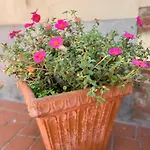 Ada Pensjonat Monsummano Terme